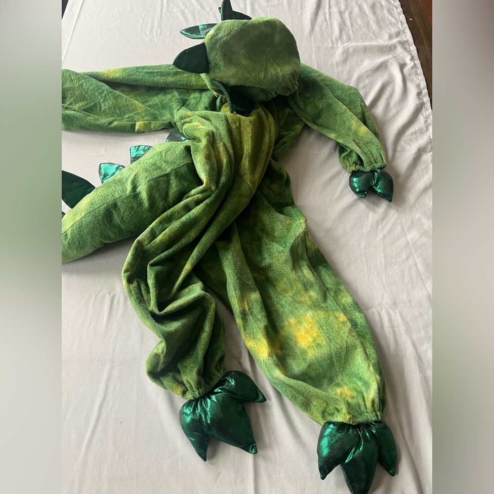 Green Dinosaur Costume